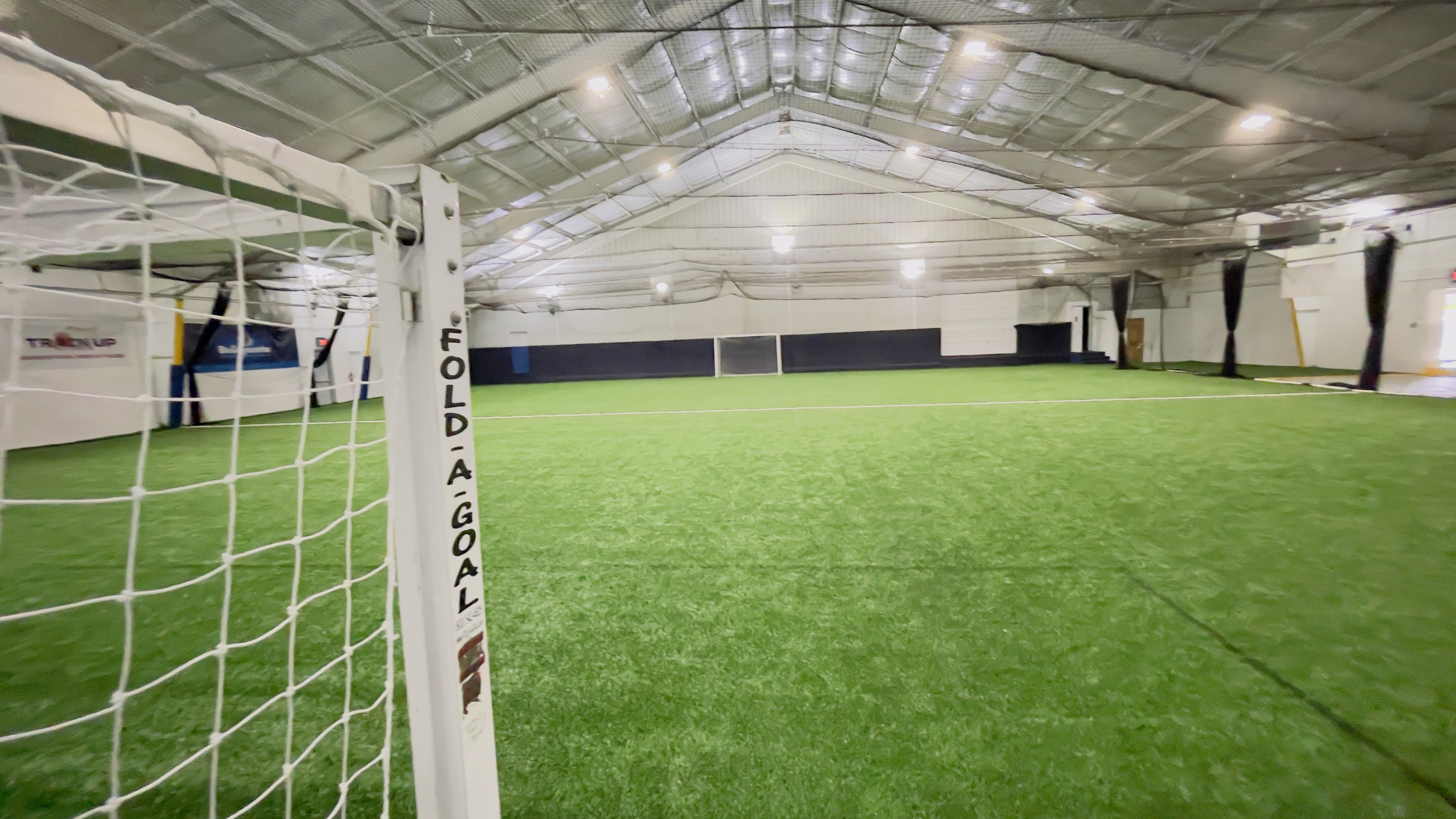 Lower Field View
